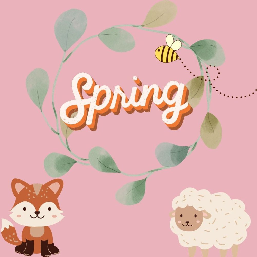 🌸🪴🪹🌹💐🌞☔️  Spring Is Almost Here!   🌱🌷🌳🌺🪺🌿🌼